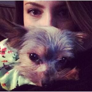 Meet your Posher, Kristina